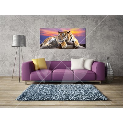 Obraz na płótnie, laminowany 110x50 cm Tygrys